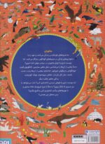 اطلس ماجراجویی جانوران / هوپا - Image 2