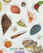 صدف ها دنج و راحت هستند ( رازهای طبیعت) / مهرسا - Image 2